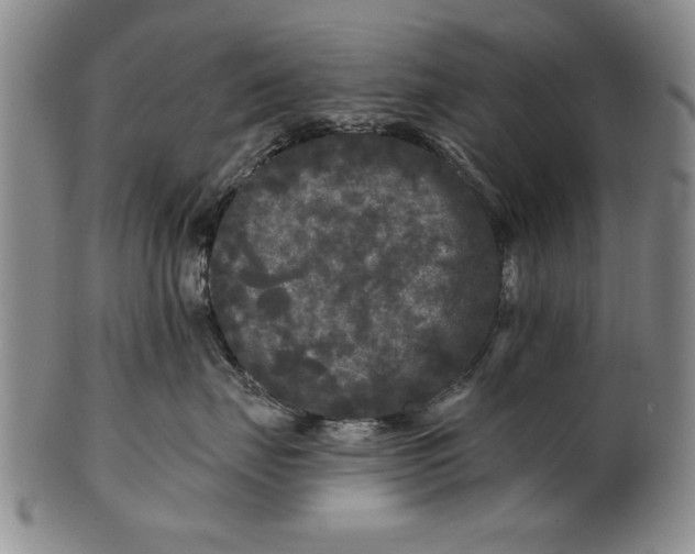 X0000100970671200807081221