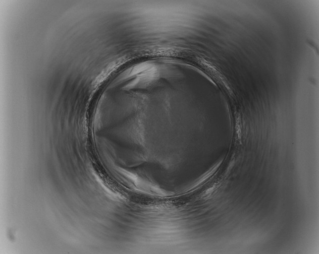 X0000100970674200807081220