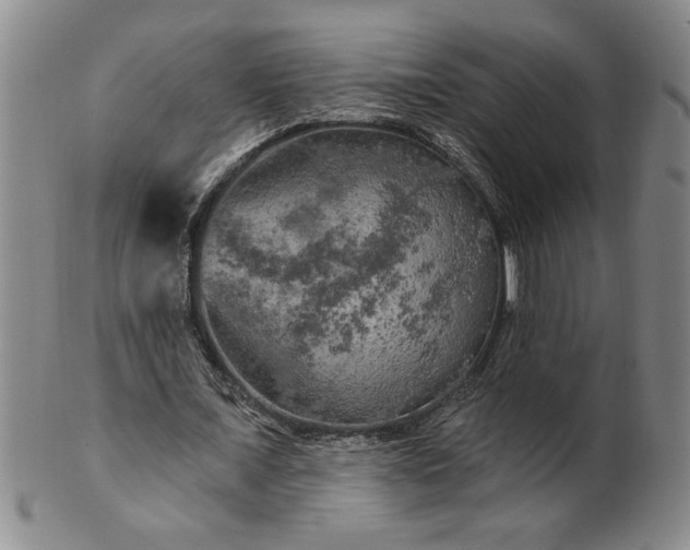 X0000100970675200807081220