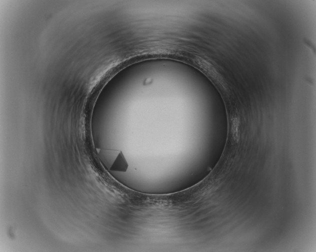 X0000100970676200807081220