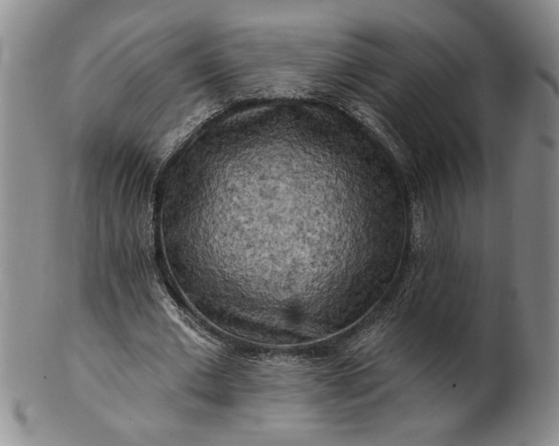 X0000100970677200807081220