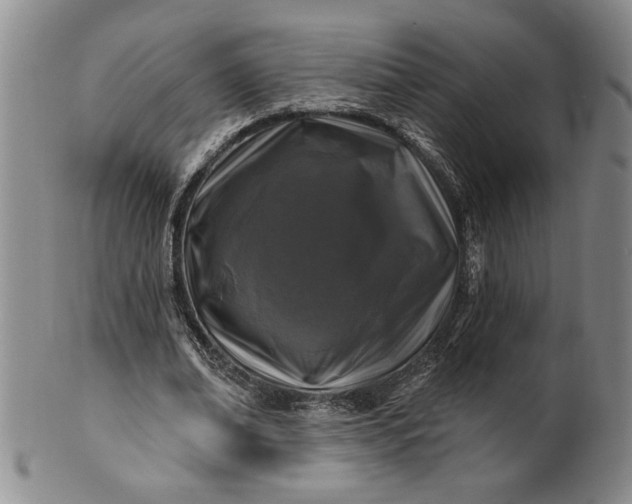 X0000100970678200807081220