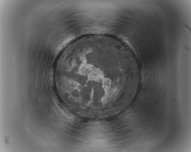 X0000100970679200807081220
