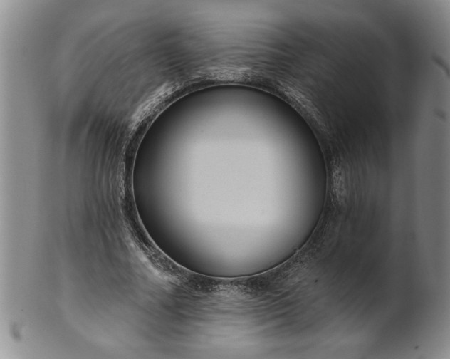 X0000100970682200807081220