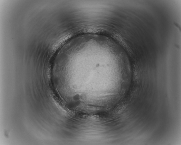 X0000100970683200807081220
