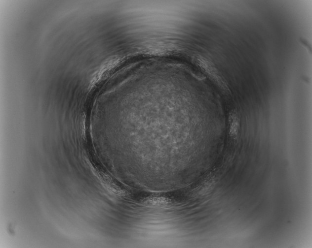 X0000100970685200807081220