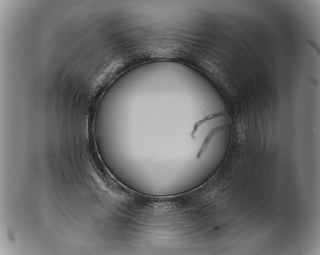 X0000100970686200807081220