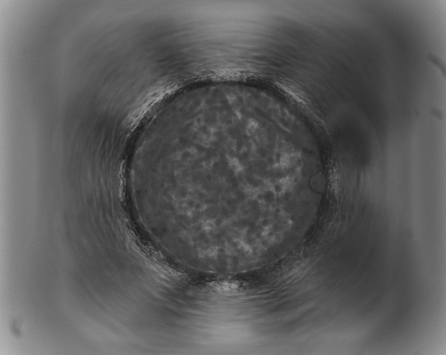 X0000100970687200807081220