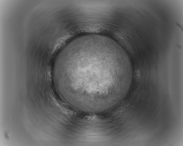 X0000100970688200807081220