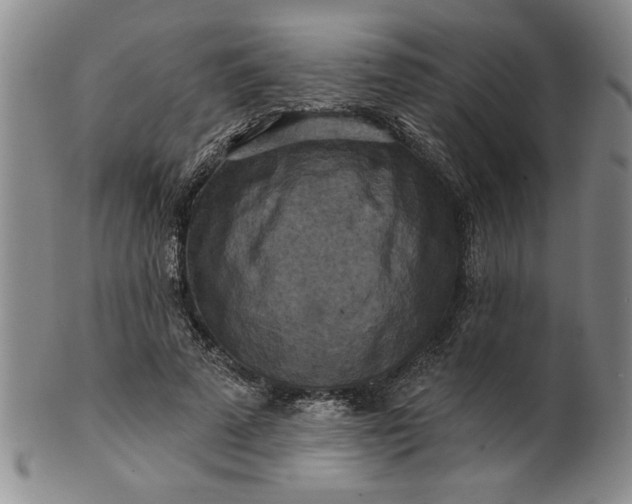 X0000100970689200807081220