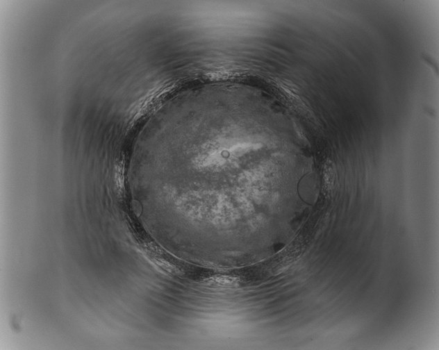 X0000100970691200807081220