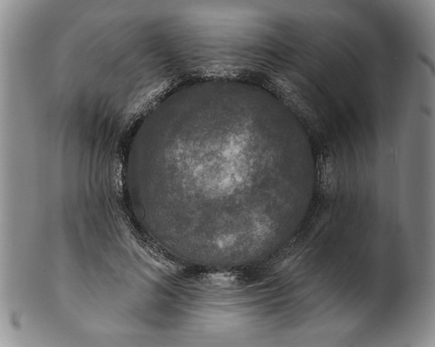 X0000100970692200807081220
