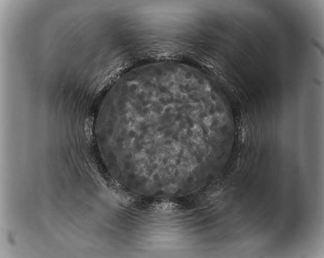 X0000100970695200807081220
