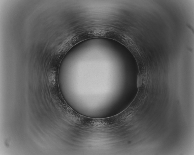 X0000100970697200807081220