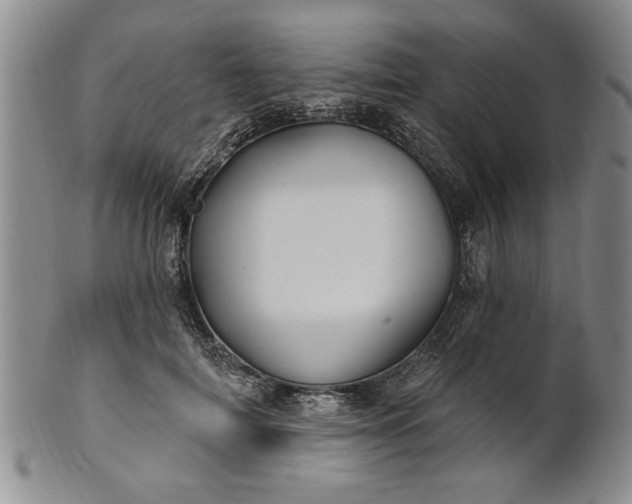 X0000100970698200807081220