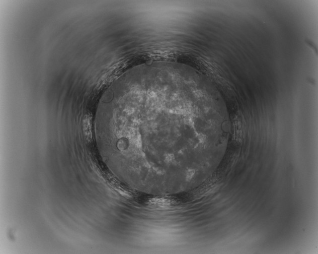 X0000100970699200807081220