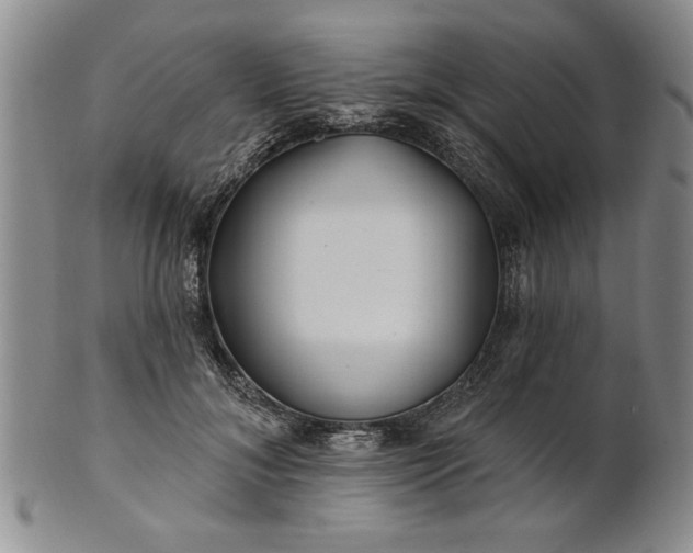 X0000100970700200807081220