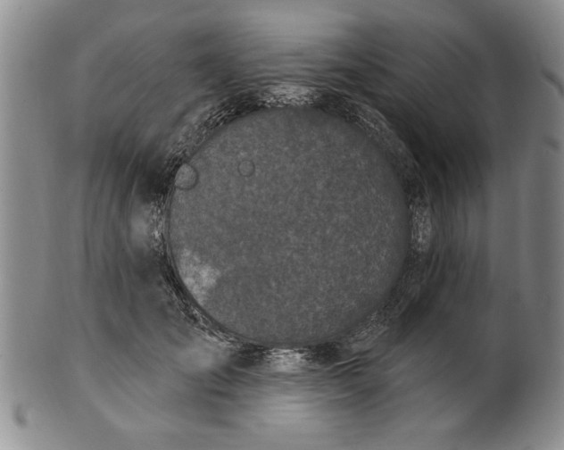 X0000100970701200807081220