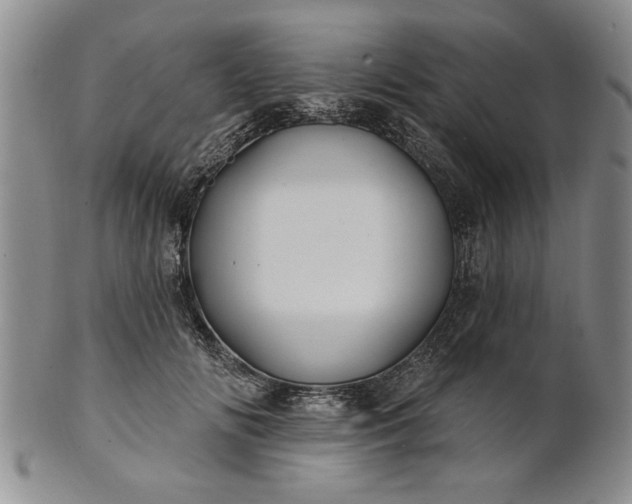 X0000100970702200807081219