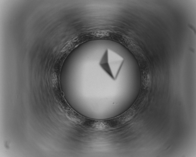X0000100970704200807081219