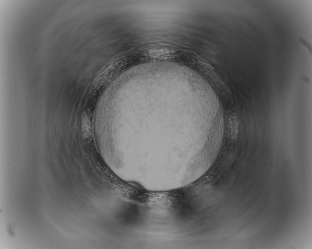 X0000100970705200807081219