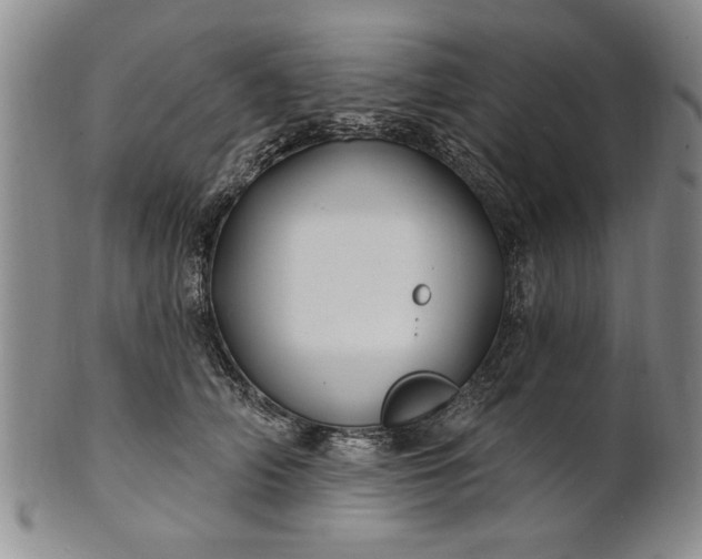 X0000100970706200807081219