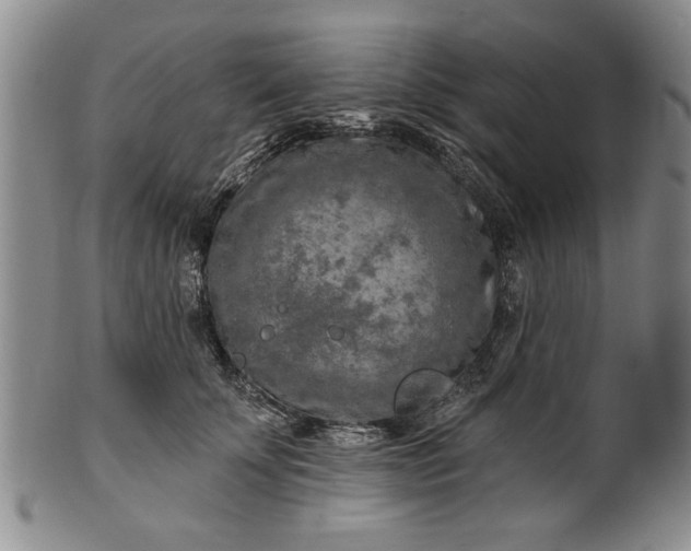 X0000100970707200807081219