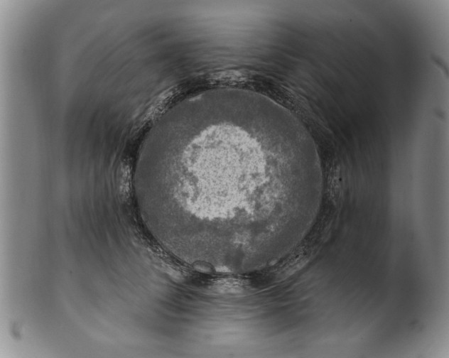 X0000100970708200807081219