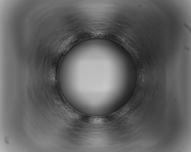 X0000100970710200807081219