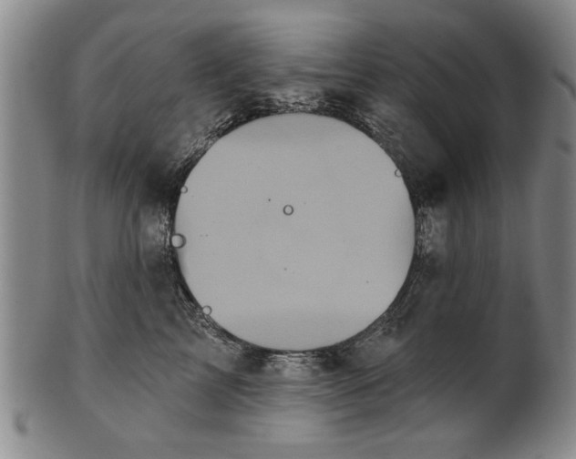 X0000100970713200807081219