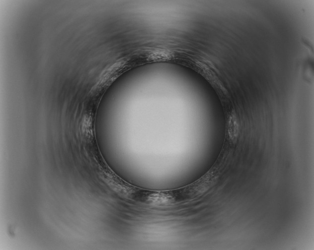 X0000100970714200807081219