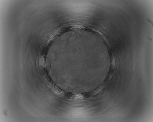 X0000100970715200807081219