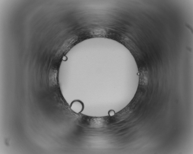 X0000100970717200807081219