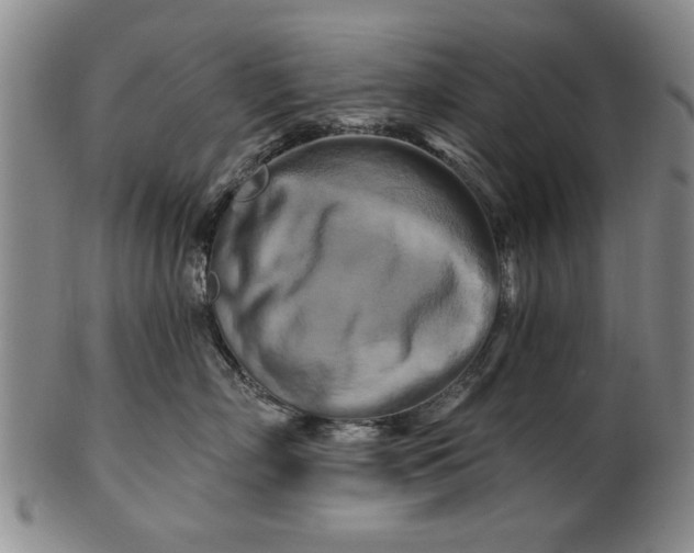 X0000100970718200807081219