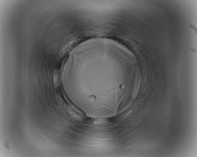 X0000100970720200807081219