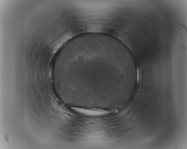 X0000100970723200807081218