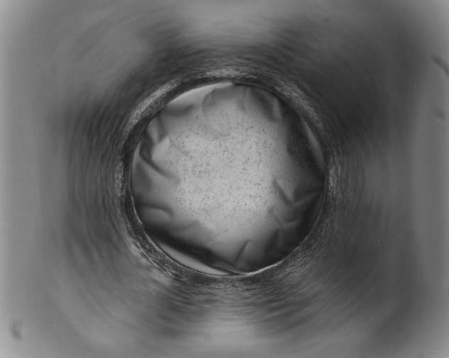 X0000100970724200807081218