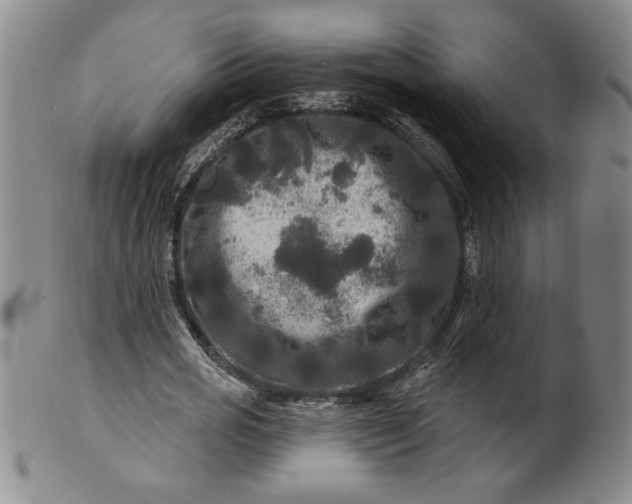 X0000100970725200807081218