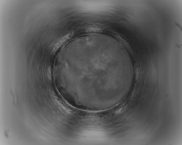 X0000100970729200807081218