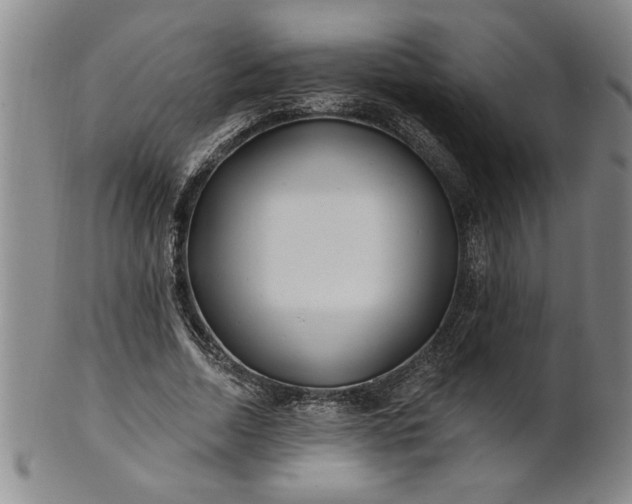 X0000100970730200807081218