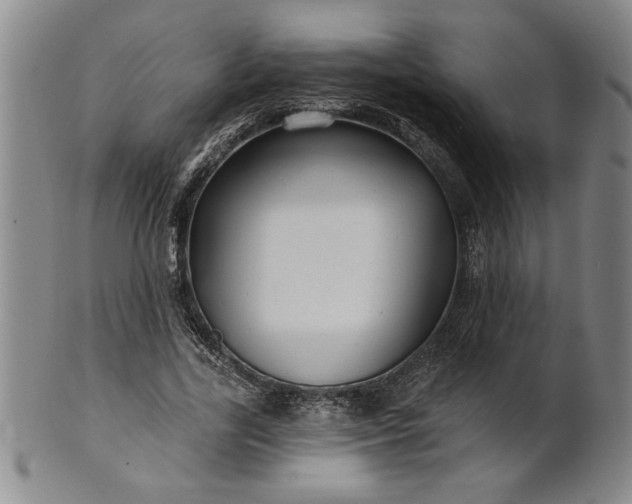 X0000100970731200807081218