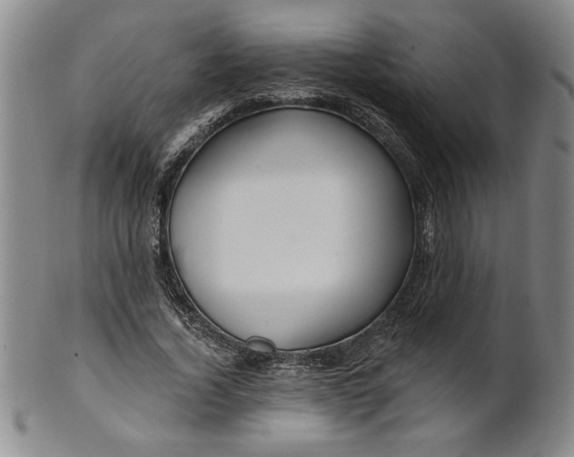 X0000100970732200807081219