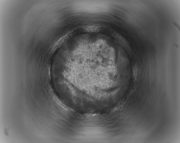 X0000100970733200807081219