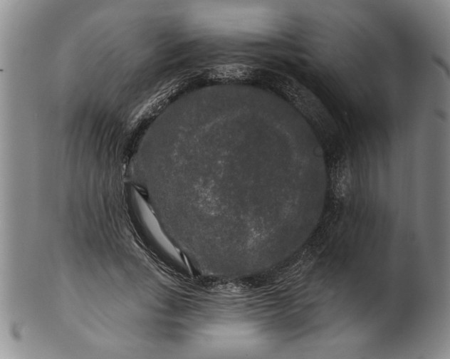 X0000100970735200807081219