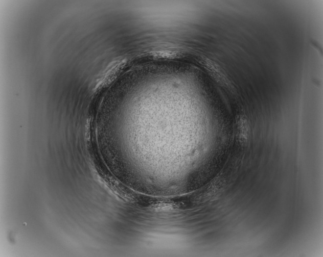 X0000100970738200807081219