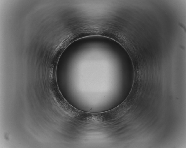X0000100970739200807081219