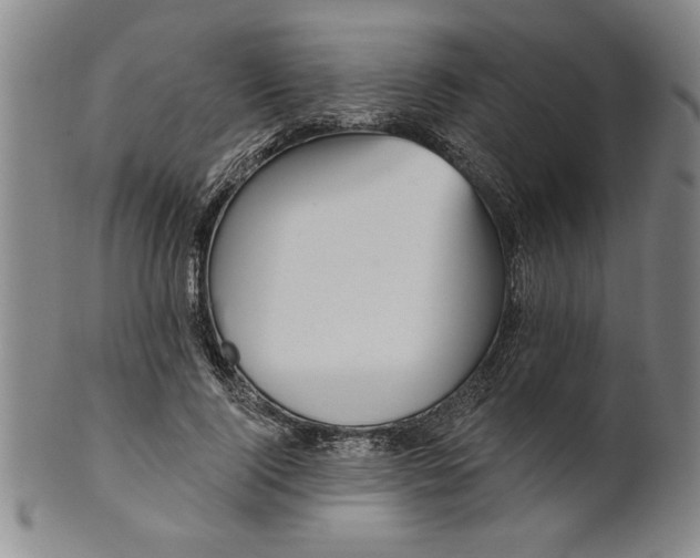 X0000100970740200807081219