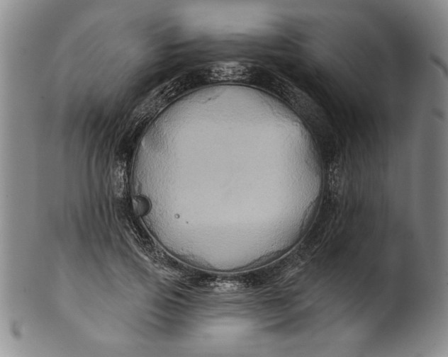 X0000100970741200807081219