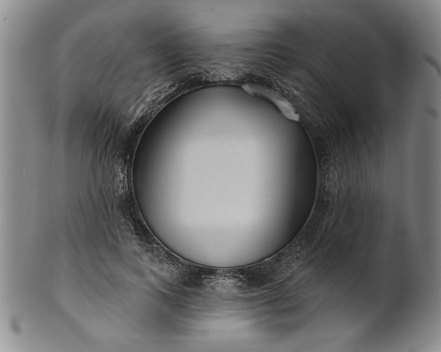 X0000100970743200807081219