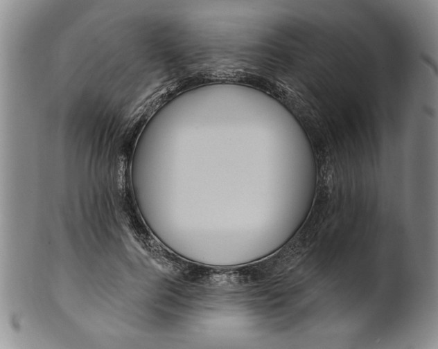 X0000100970744200807081219
